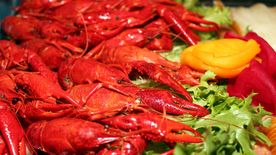 小龙虾大龙虾图片