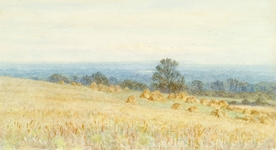 手绘插画秋天草坪与远山