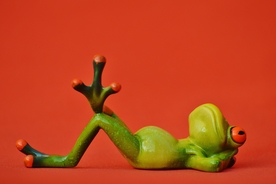 搞怪青蛙玩具图片