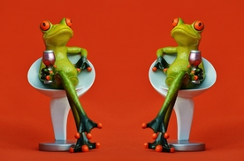 搞怪青蛙玩具图片