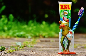 搞怪青蛙玩具图片