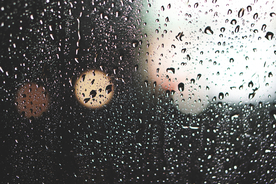 雨中美景水珠积水图片