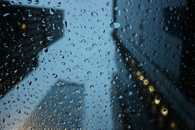 雨中美景水珠积水图片