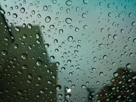 雨中美景水珠积水图片