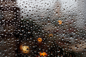 雨中美景水珠积水图片