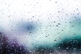 雨中美景水珠积水图片