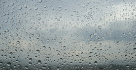 雨中美景水珠积水图片