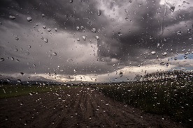 雨中美景水珠积水图片