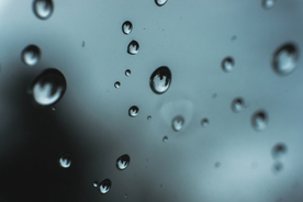 雨中美景水珠积水图片