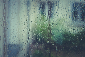 雨中美景水珠积水图片