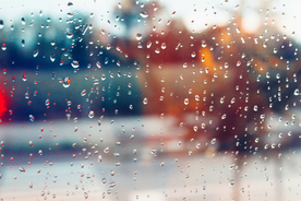 雨中美景水珠积水图片