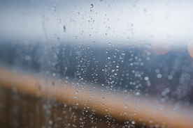 雨中美景水珠积水图片