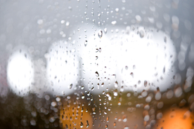 雨中美景水珠积水图片