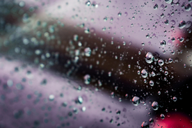 雨中美景水珠积水图片