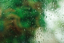 雨中美景水珠积水图片