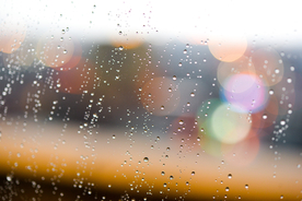 雨中美景水珠积水图片