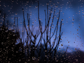 雨中美景水珠积水图片