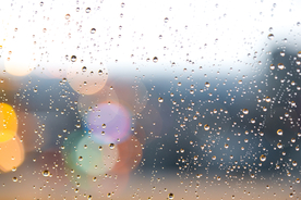 雨中美景水珠积水图片