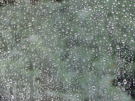 雨中美景水珠积水图片