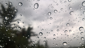 雨中美景水珠积水图片