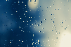 雨中美景水珠积水图片