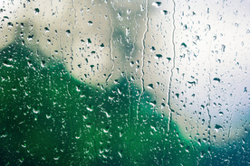 雨中美景水珠积水图片