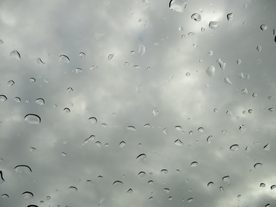 雨中美景水珠积水图片