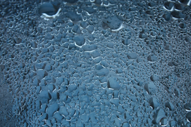 雨中美景水珠积水图片