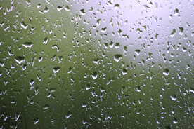 雨中美景水珠积水图片