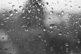 雨中美景水珠积水图片