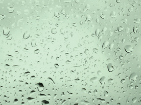 雨中美景水珠积水图片