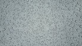 雨中美景水珠积水图片