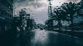 雨中美景水珠积水图片