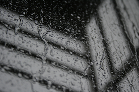 雨中美景水珠积水图片