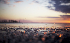 雨中美景水珠积水图片