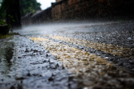 雨中美景水珠积水图片