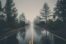 雨中美景水珠积水图片