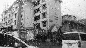 雨中美景水珠积水图片