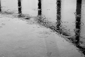 雨中美景水珠积水图片