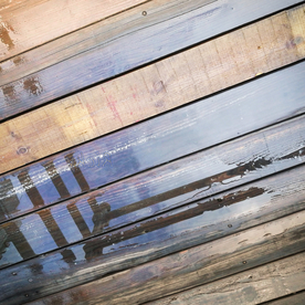 雨中美景水珠积水图片