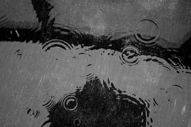 雨中美景水珠积水图片