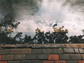 雨中美景水珠积水图片
