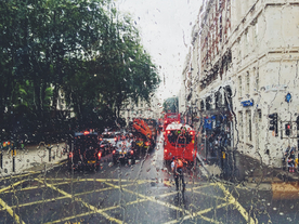 雨中美景水珠积水图片