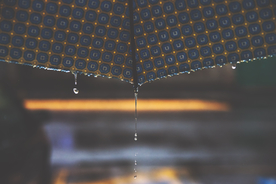 雨中美景水珠积水图片