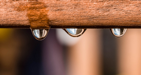 雨中美景水珠积水图片