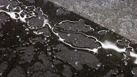 雨中美景水珠积水图片