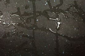 雨中美景水珠积水图片