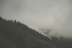 山林中的雾气图片