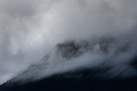山林中的雾气图片