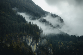 山林中的雾气图片